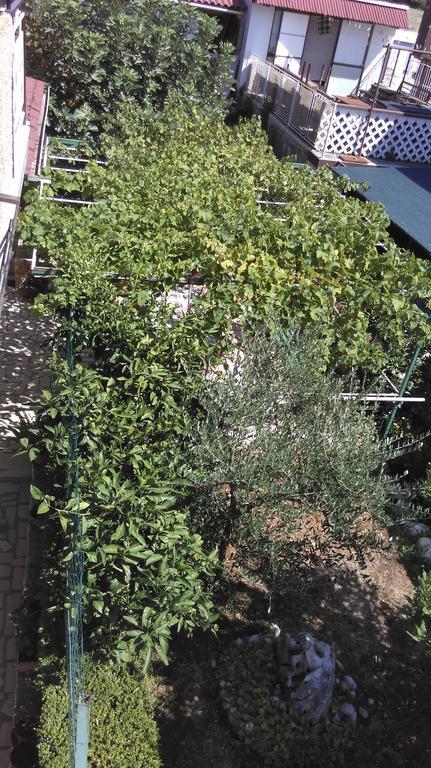Apartment Cinzia Pula Exterior foto